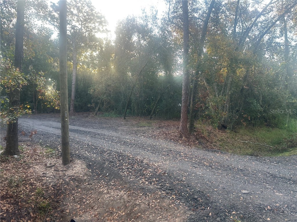 1525 Slash Pine Road Lakeland FL 33809 L4954573 image14