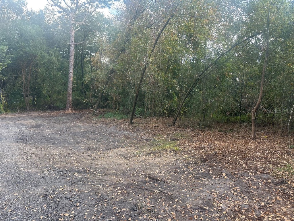 1525 Slash Pine Road Lakeland FL 33809 L4954573 image6