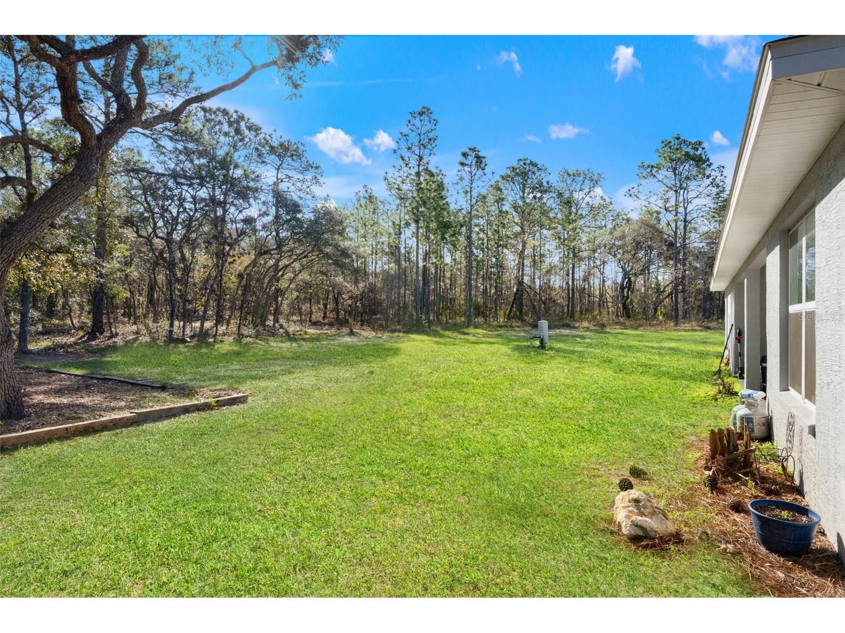 15250 Barron Court Brooksville FL 34614 TB8485489 image43