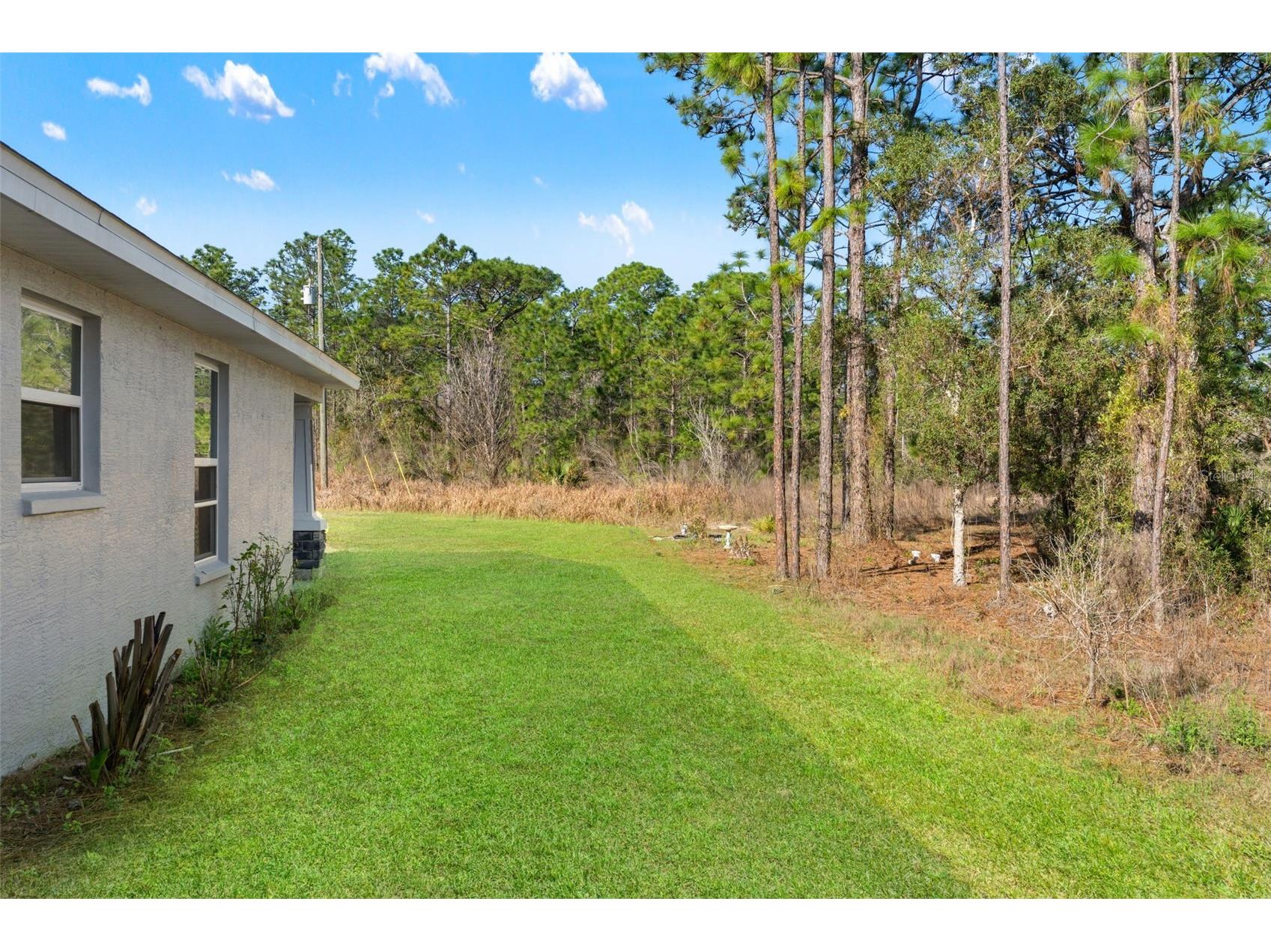 15250 Barron Court Brooksville FL 34614 TB8485489 image44