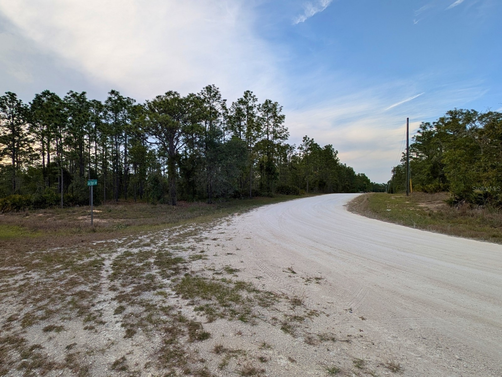 15252 Coot Road Brooksville FL 34614 TB8473085 image10