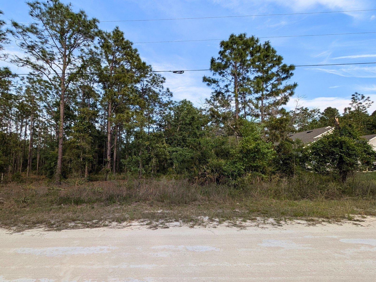 15252 Coot Road Brooksville FL 34614 TB8473085 image3