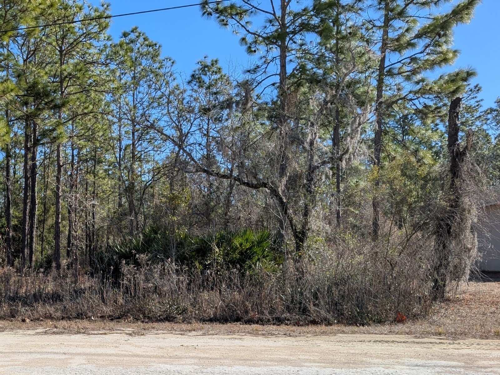 15252 Coot Road Brooksville FL 34614 TB8473085 image5