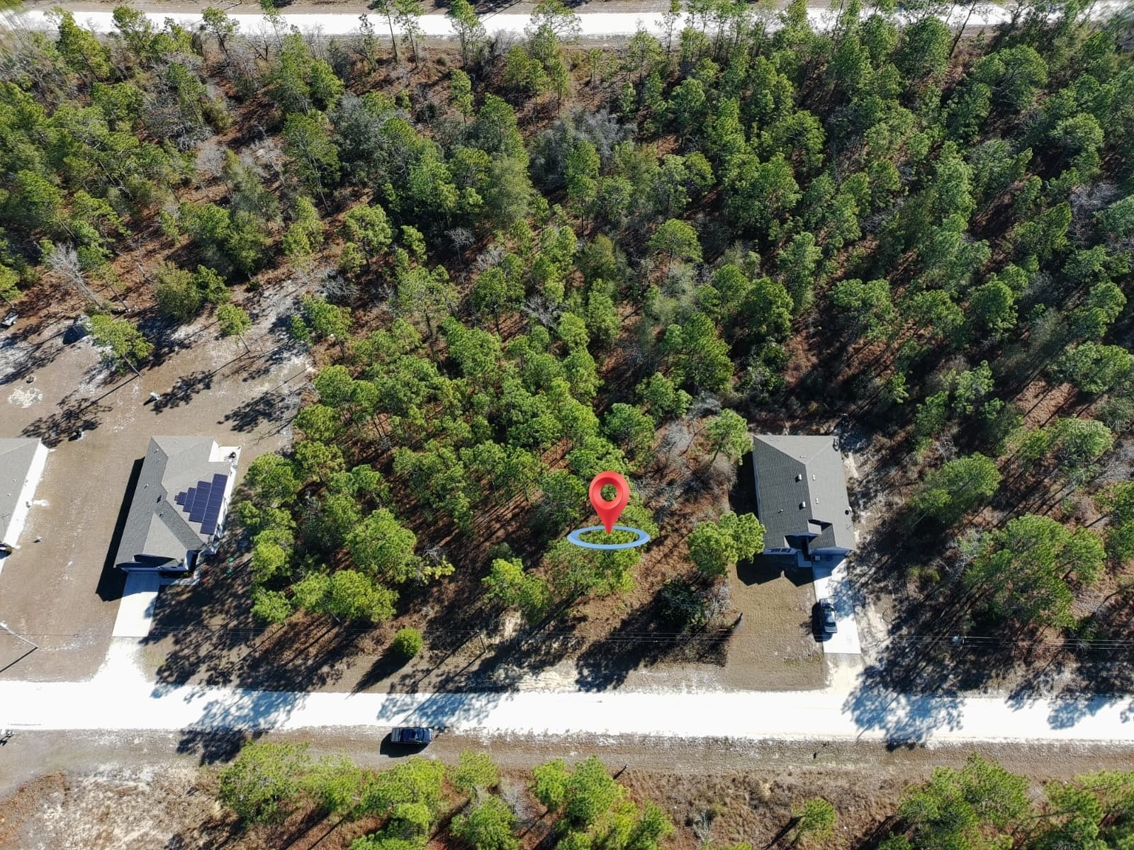 15252 Coot Road Brooksville FL 34614 TB8473085 image6