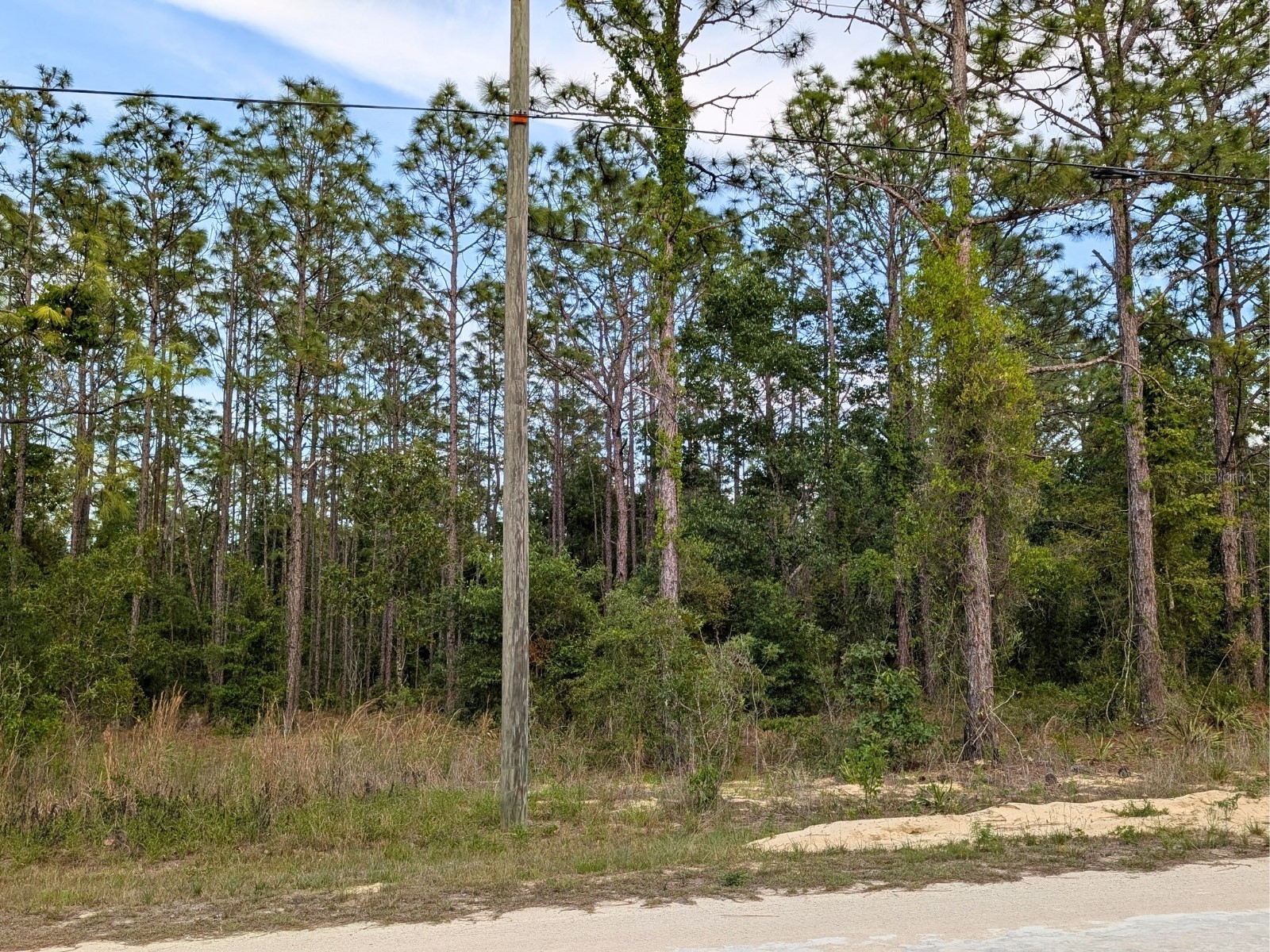 15252 Coot Road Brooksville FL 34614 TB8473085 image8