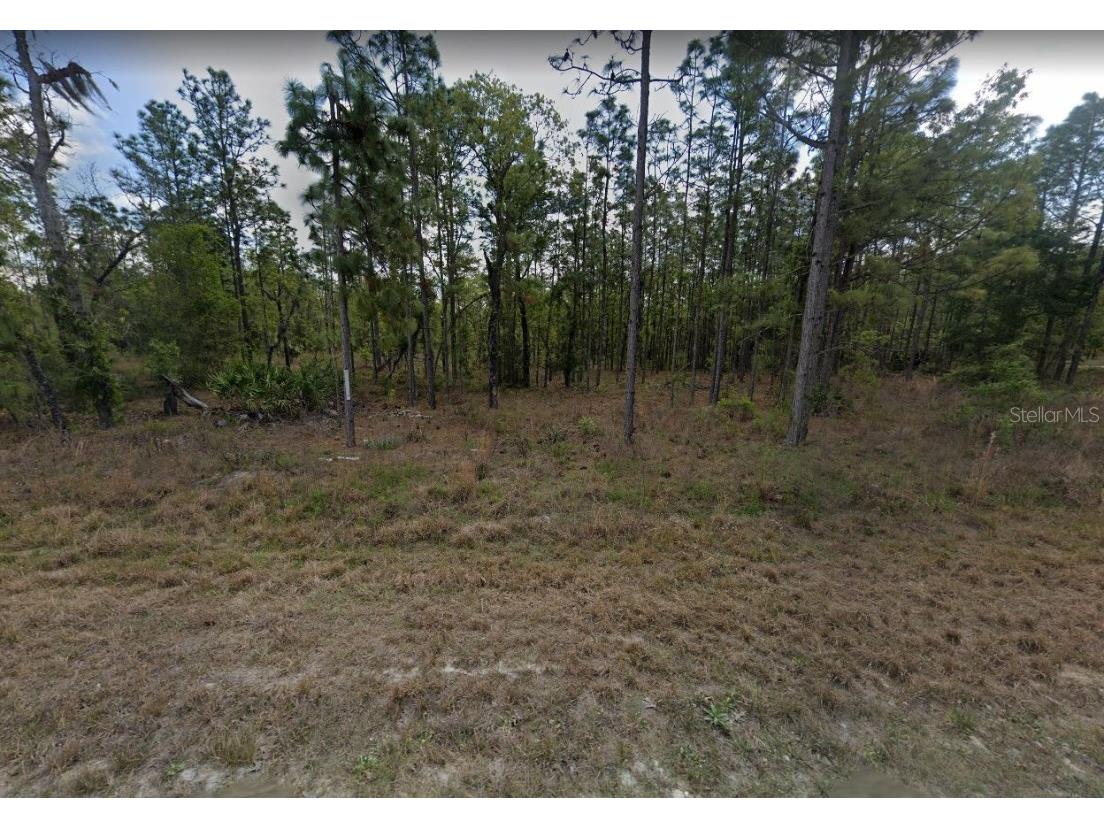 15252 Coot Road Weeki Wachee FL 34614 T3467158 image1