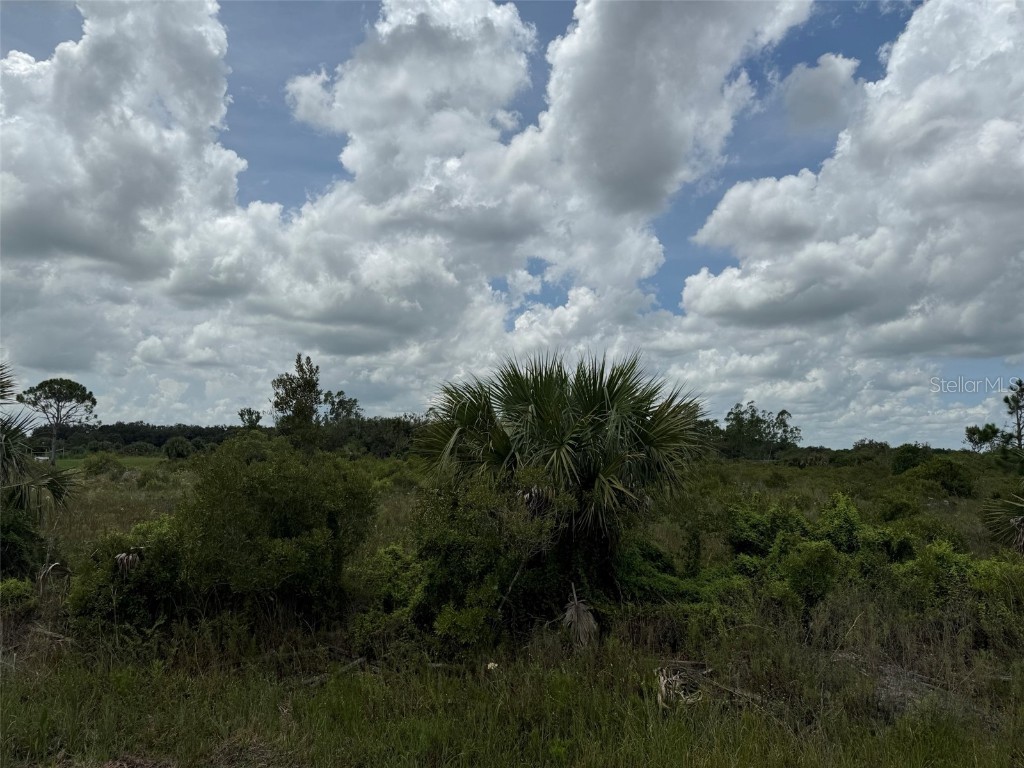 15254 NW 286th Street Okeechobee FL 34972 OK225388 image1