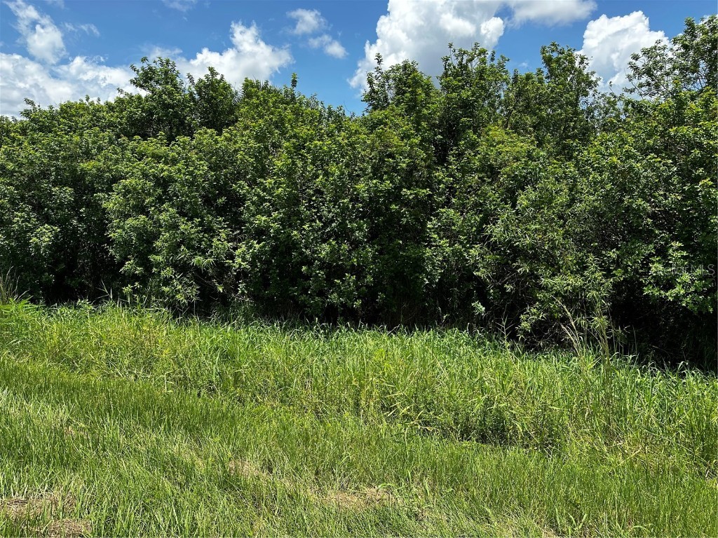 15255 NW 240th Street Okeechobee FL 34972 OK223064 image1