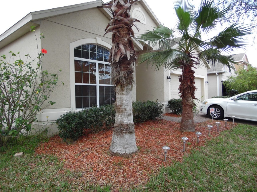 15256 Stonebriar Way Orlando FL 32826 O6100600 image1