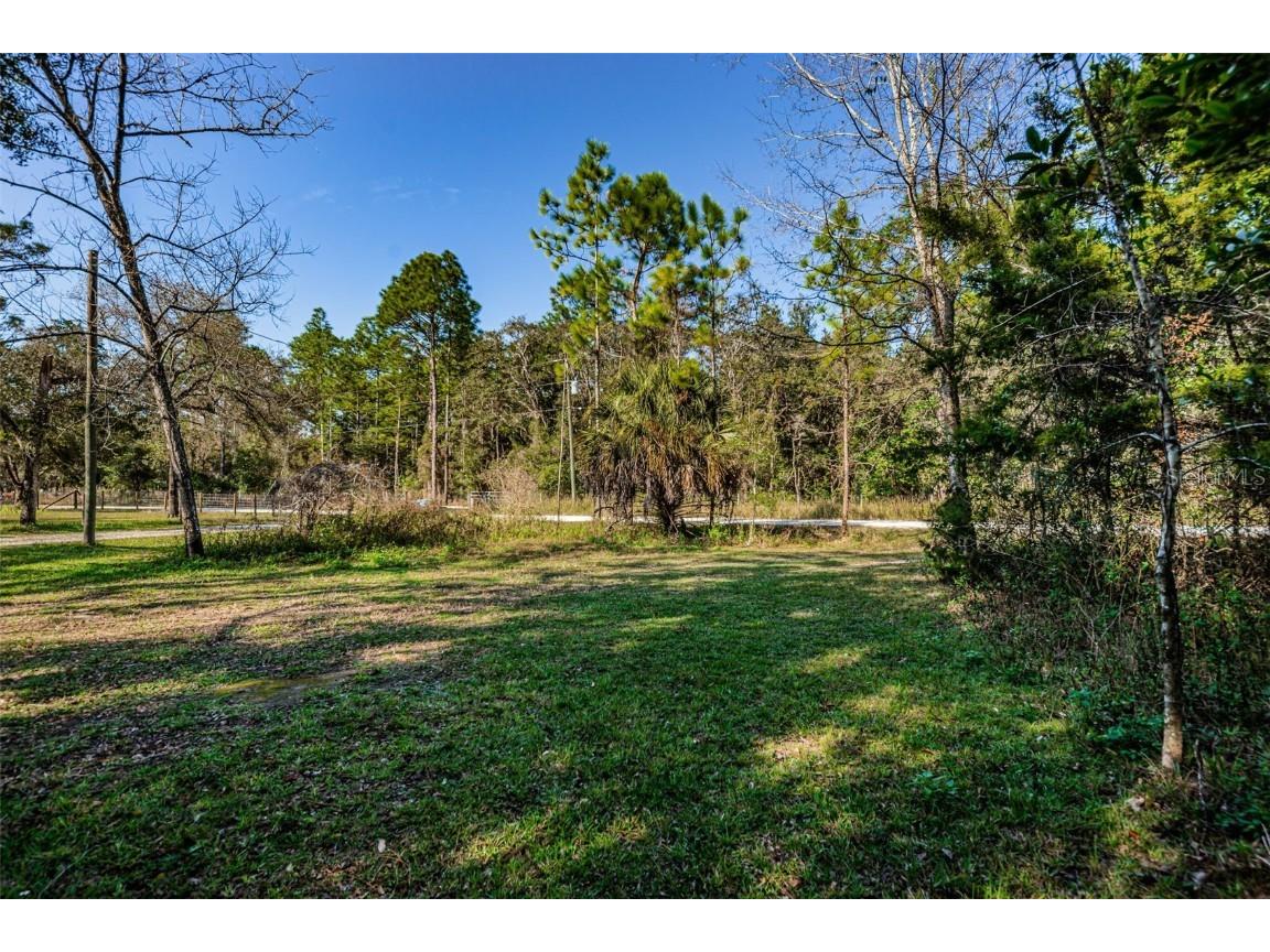 15256 Taralane Avenue Brooksville FL 34604 U8183525 image1