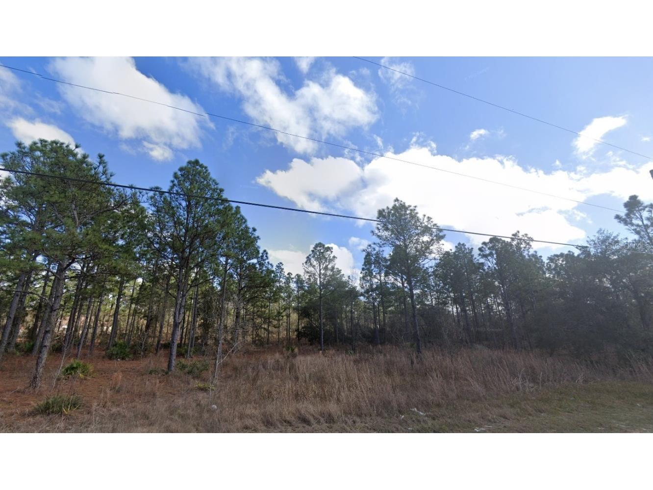 15260 Fleetwood Road Weeki Wachee FL 34614 O6218295 image1