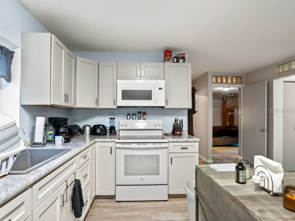 15260 NE 152nd Place Fort Mc Coy FL 32134 - OKLAWAHA RIVER TB8448109 image21