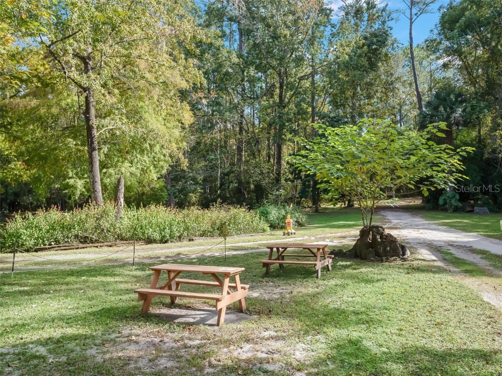 15260 NE 152nd Place Fort Mc Coy FL 32134 - OKLAWAHA RIVER TB8448109 image26