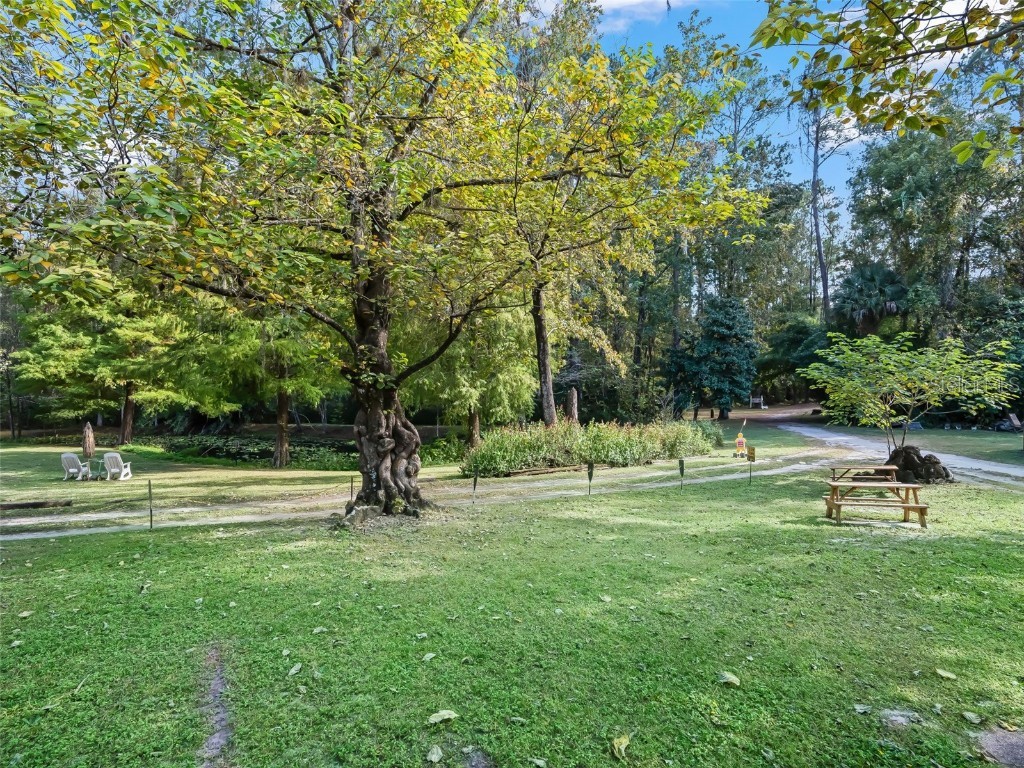 15260 NE 152nd Place Fort Mc Coy FL 32134 - OKLAWAHA RIVER TB8448109 image28