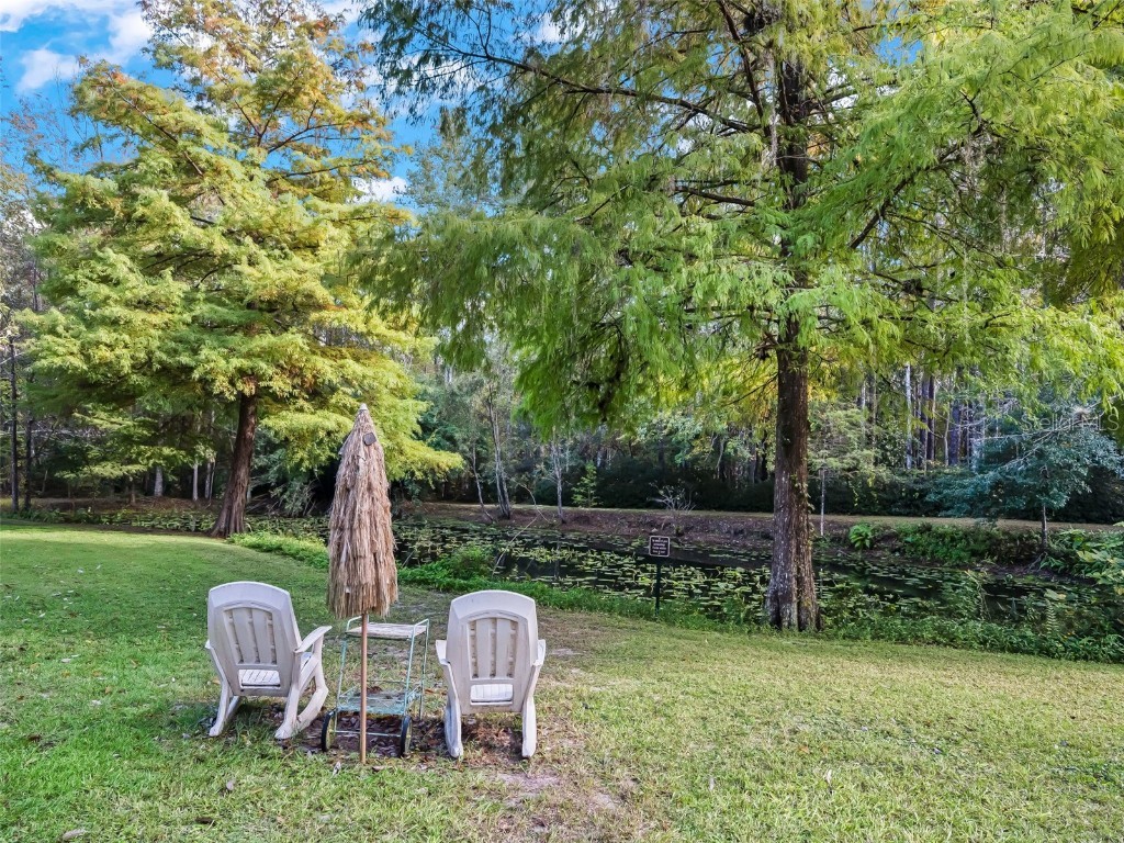 15260 NE 152nd Place Fort Mc Coy FL 32134 - OKLAWAHA RIVER TB8448109 image29