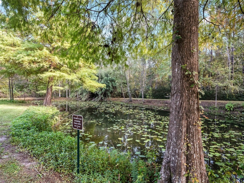 15260 NE 152nd Place Fort Mc Coy FL 32134 - OKLAWAHA RIVER TB8448109 image30