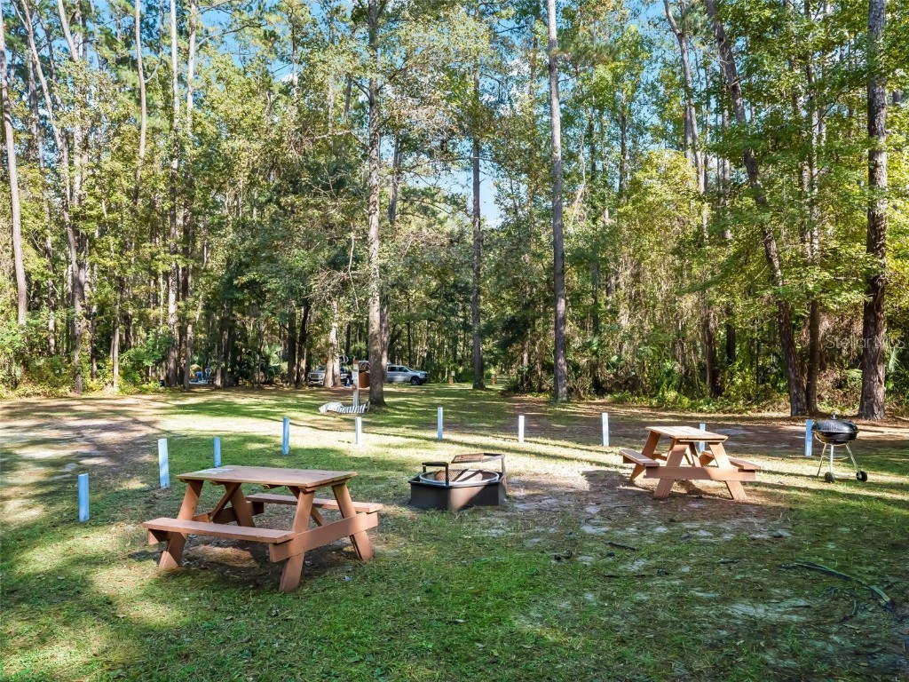 15260 NE 152nd Place Fort Mc Coy FL 32134 - OKLAWAHA RIVER TB8448109 image42