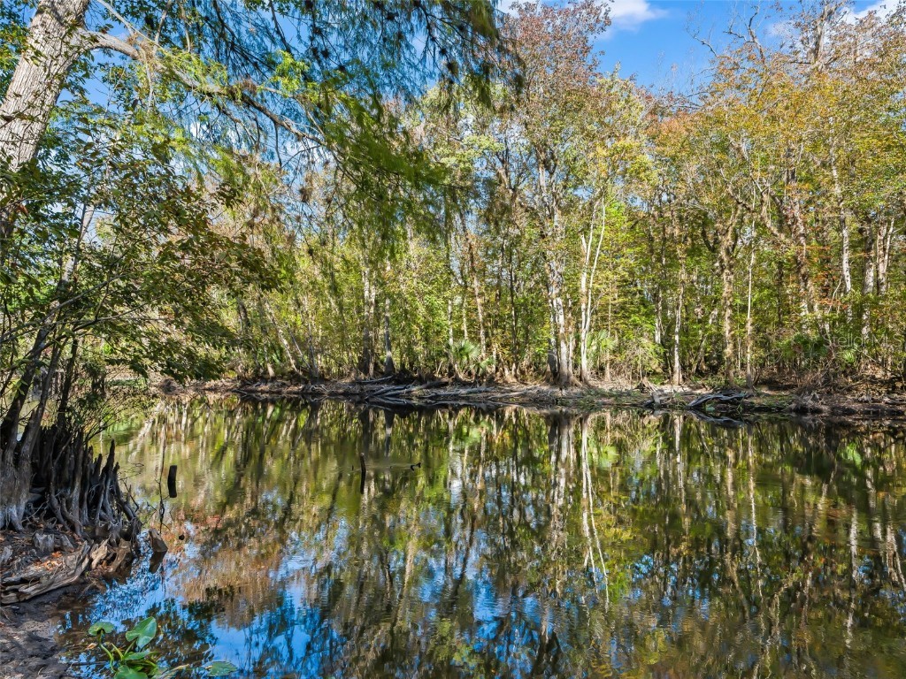 15260 NE 152nd Place Fort Mc Coy FL 32134 - OKLAWAHA RIVER TB8448109 image5