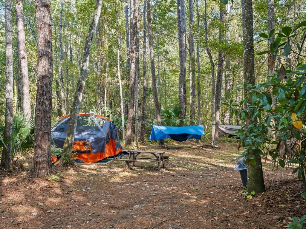 15260 NE 152nd Place Fort Mc Coy FL 32134 - OKLAWAHA RIVER TB8448109 image69