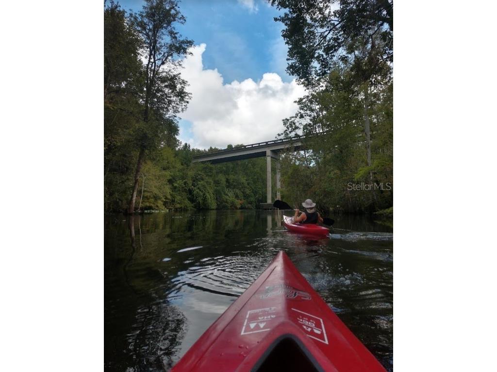 15260 NE 152nd Place Fort Mc Coy FL 32134 - OKLAWAHA RIVER TB8448109 image7