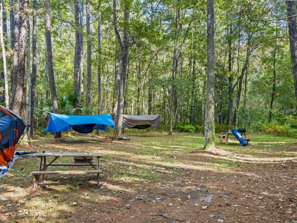 15260 NE 152nd Place Fort Mc Coy FL 32134 - OKLAWAHA RIVER TB8448109 image71