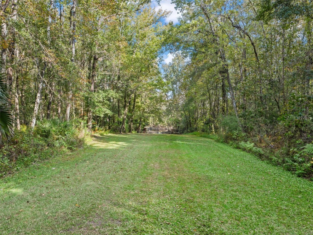 15260 NE 152nd Place Fort Mc Coy FL 32134 - OKLAWAHA RIVER TB8448109 image72