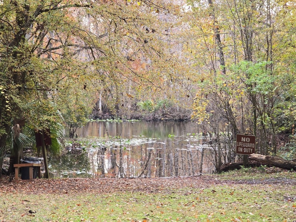 15260 NE 152nd Place Fort Mc Coy FL 32134 - OKLAWAHA RIVER TB8448109 image73