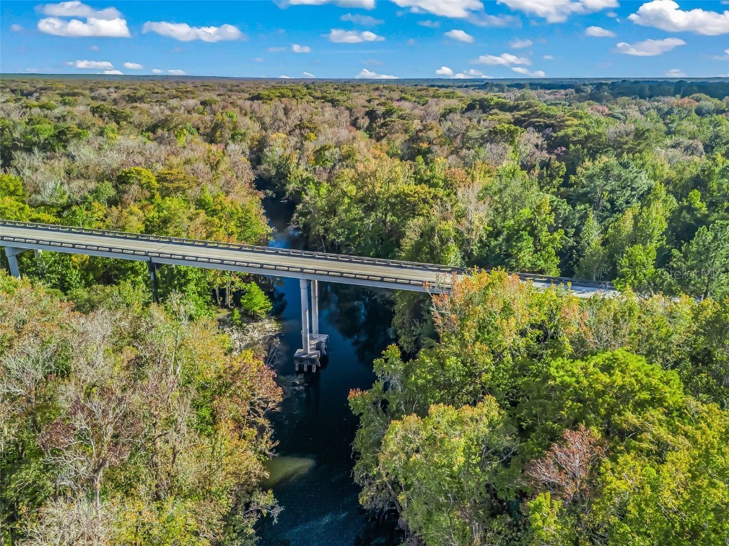 15260 NE 152nd Place Fort Mc Coy FL 32134 - OKLAWAHA RIVER TB8448109 image74