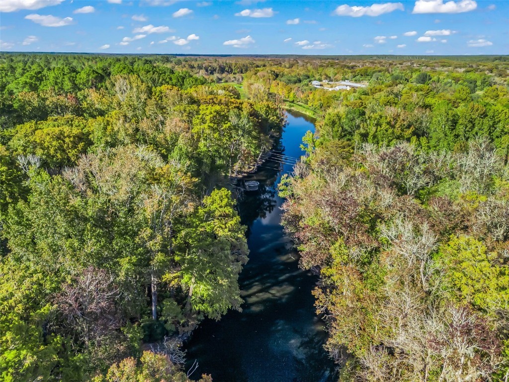 15260 NE 152nd Place Fort Mc Coy FL 32134 - OKLAWAHA RIVER TB8448109 image75