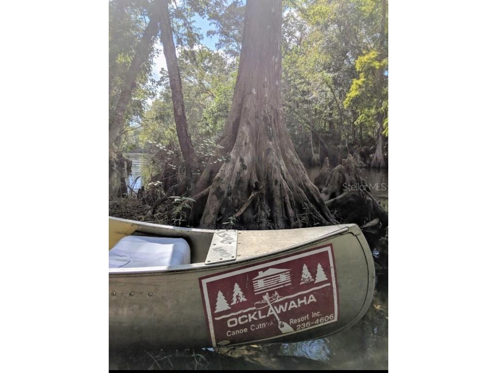 15260 NE 152nd Place Fort Mc Coy FL 32134 - OKLAWAHA RIVER TB8448109 image8