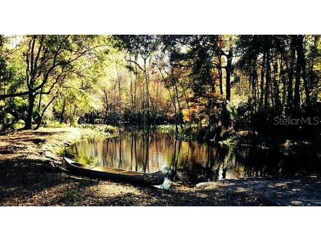 15260 NE 152nd Place Fort Mc Coy FL 32134 - OKLAWAHA RIVER TB8448109 image9