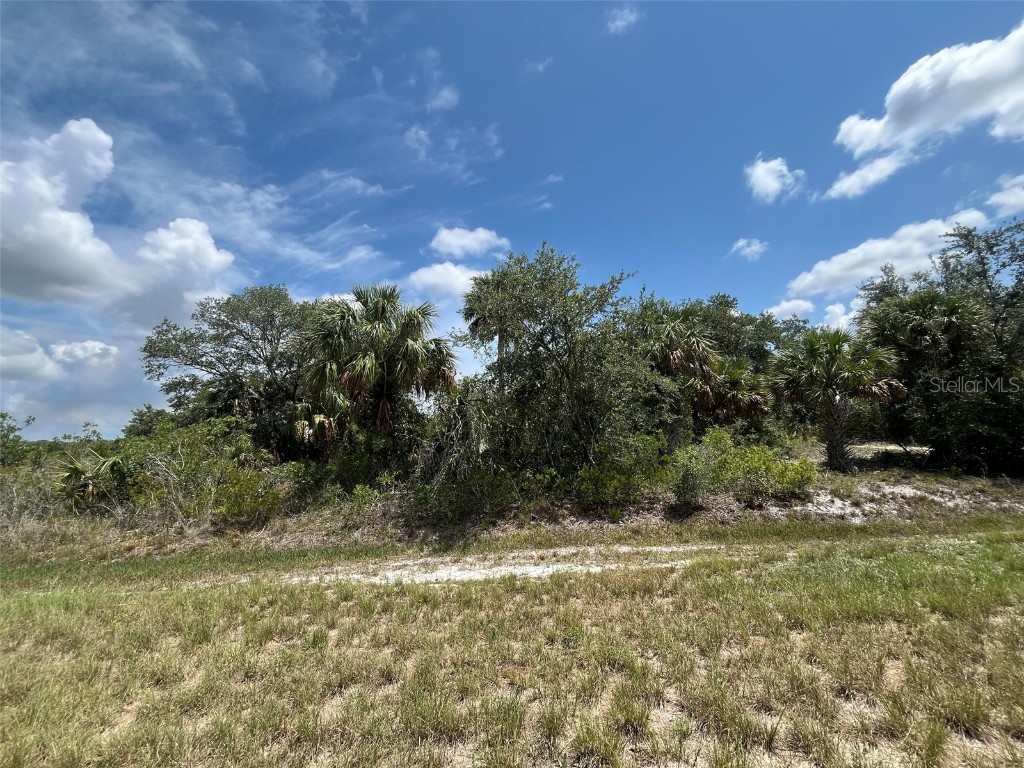 15261 NW 294th Street Okeechobee FL 34972 OK225223 image1