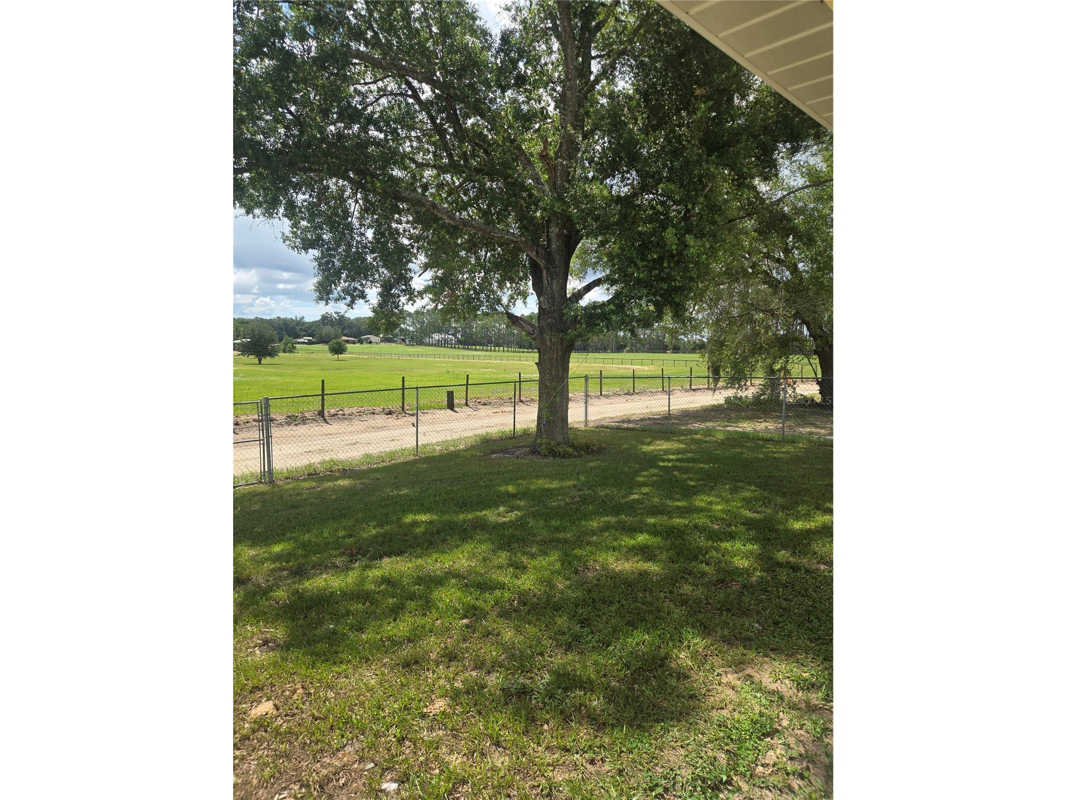 15265 SE 94th Terrace Summerfield FL 34491 OM727995 image16