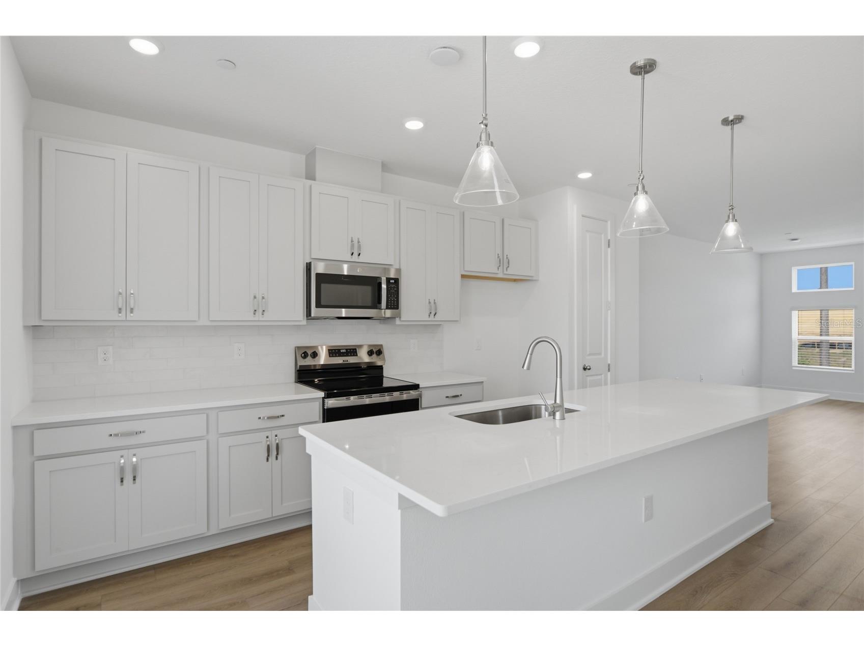 15267 Hamlin Park Drive Winter Garden FL 34787 TB8494938 image14