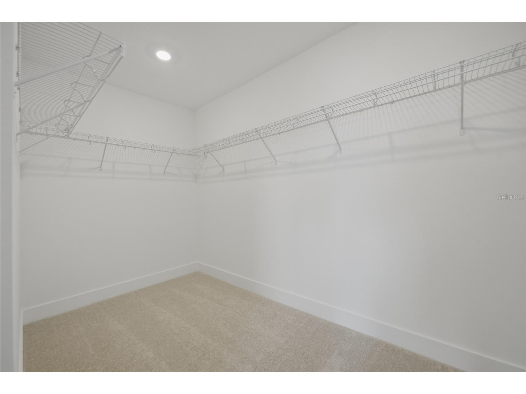 15267 Hamlin Park Drive Winter Garden FL 34787 TB8494938 image30