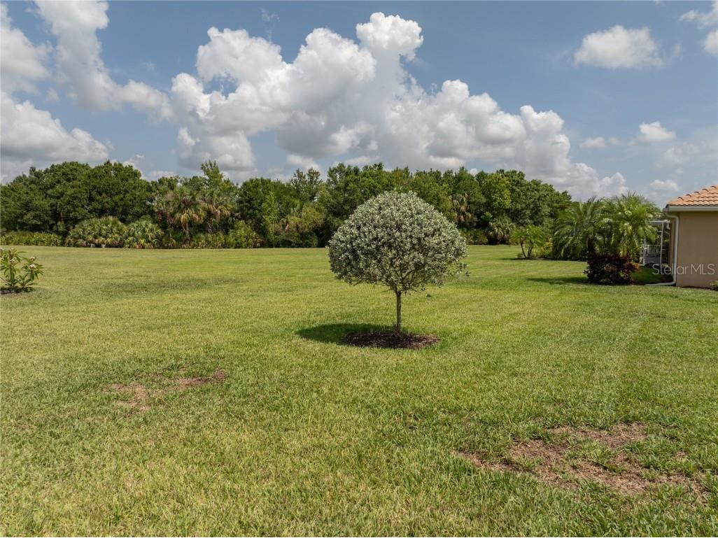 15268 Yellow Wood Drive Alva FL 33920 C7510732 image10