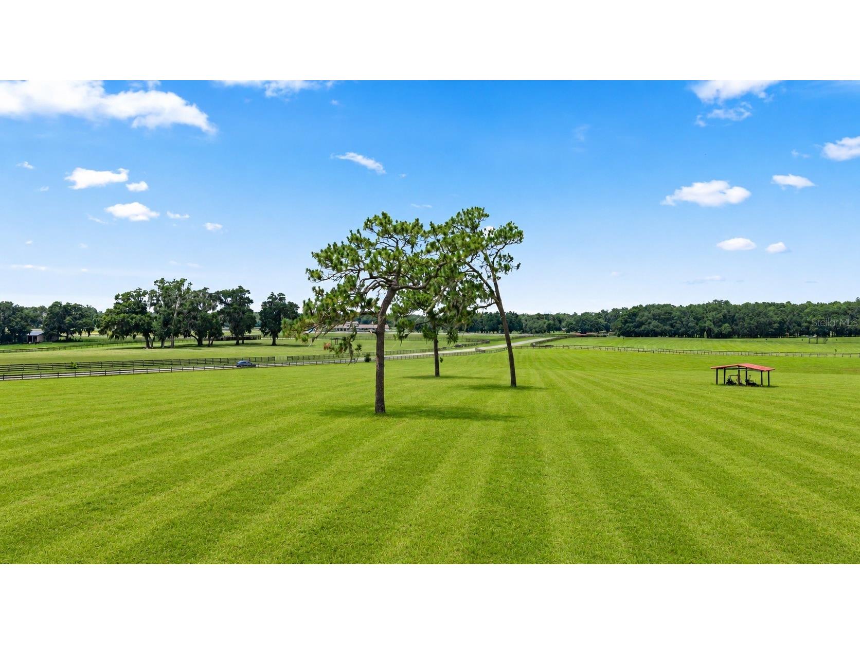 15269 NE 15th Court Sparr FL 32192 OM727833 image13