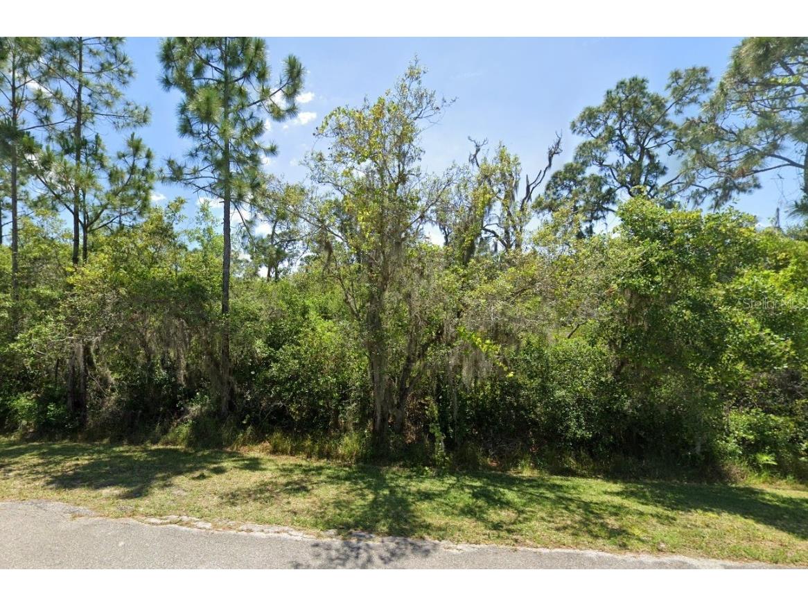 1527 Rutledge Avenue Lake Placid FL 33852 U8244491 image1