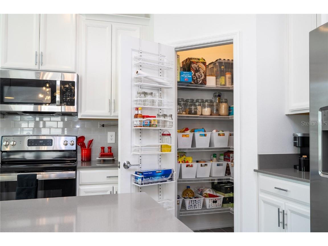 1527 Viscaya Cove Boulevard Winter Garden FL 34787 O6364279 image21