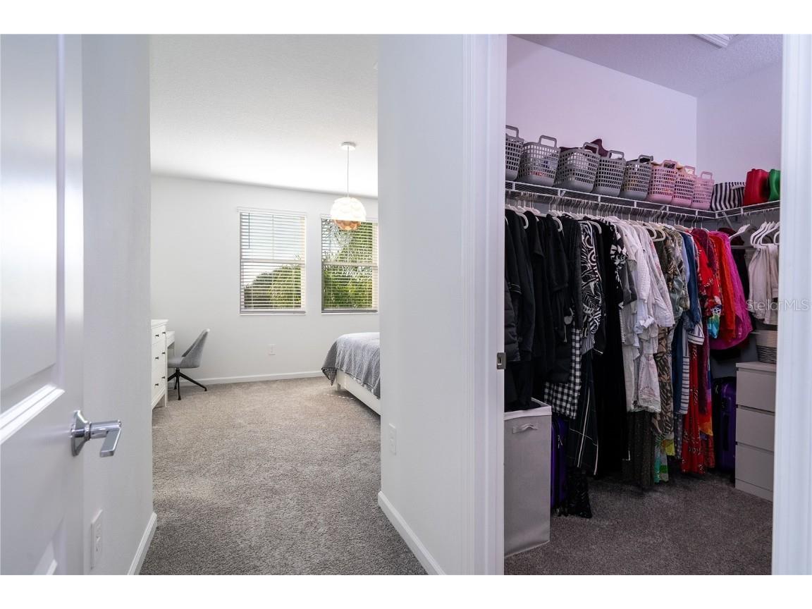 1527 Viscaya Cove Boulevard Winter Garden FL 34787 O6364279 image45