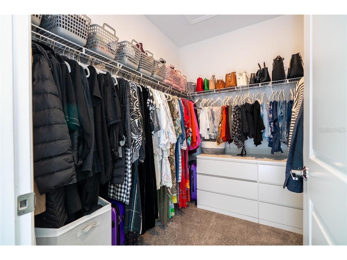 1527 Viscaya Cove Boulevard Winter Garden FL 34787 O6364279 image46