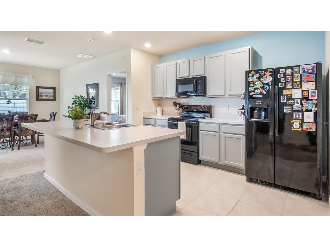 1527 White Hawk Way Groveland FL 34736 G5101134 image2