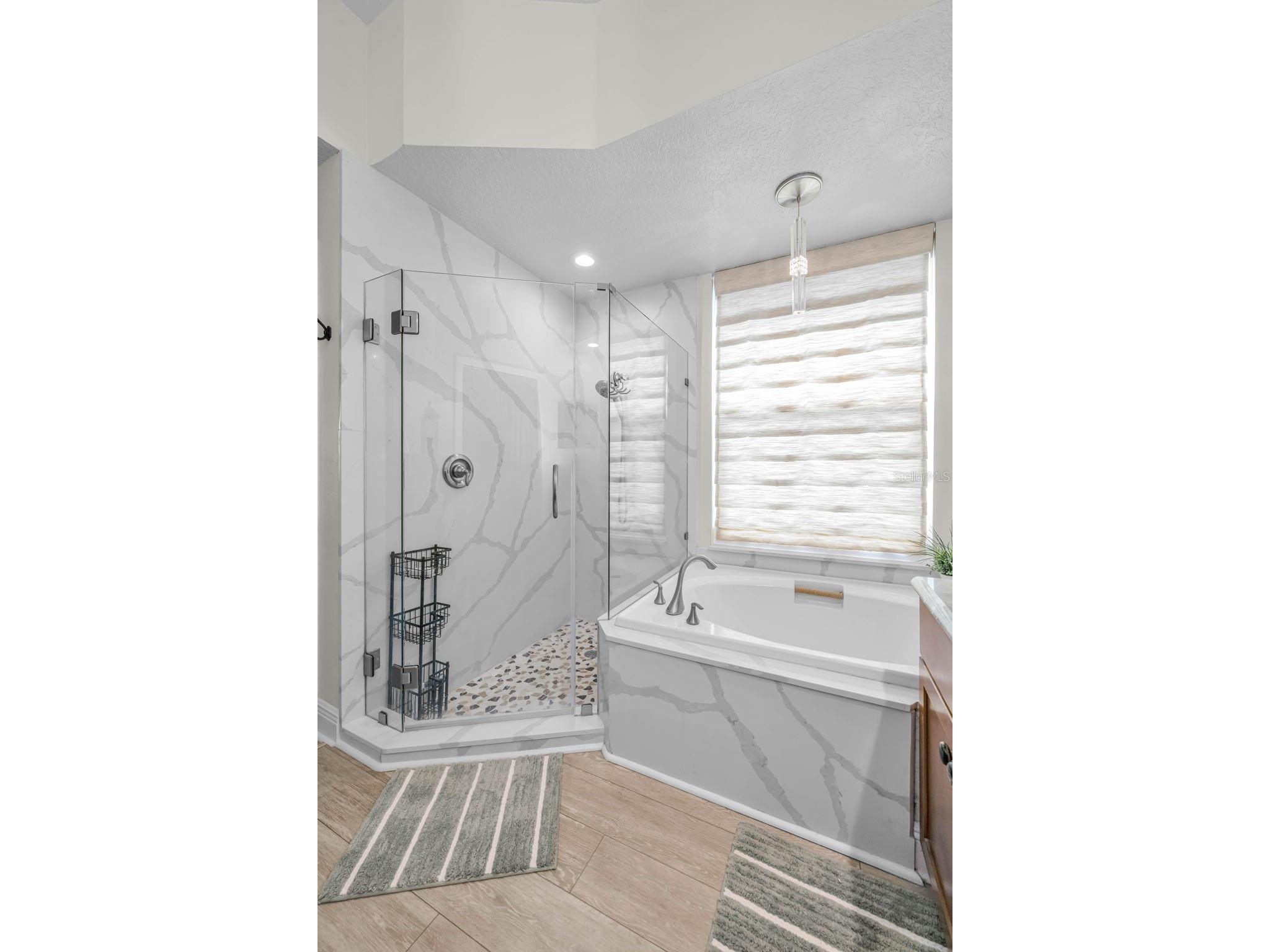 1527 Woodstream Drive Oldsmar FL 34677 TB8476648 image33