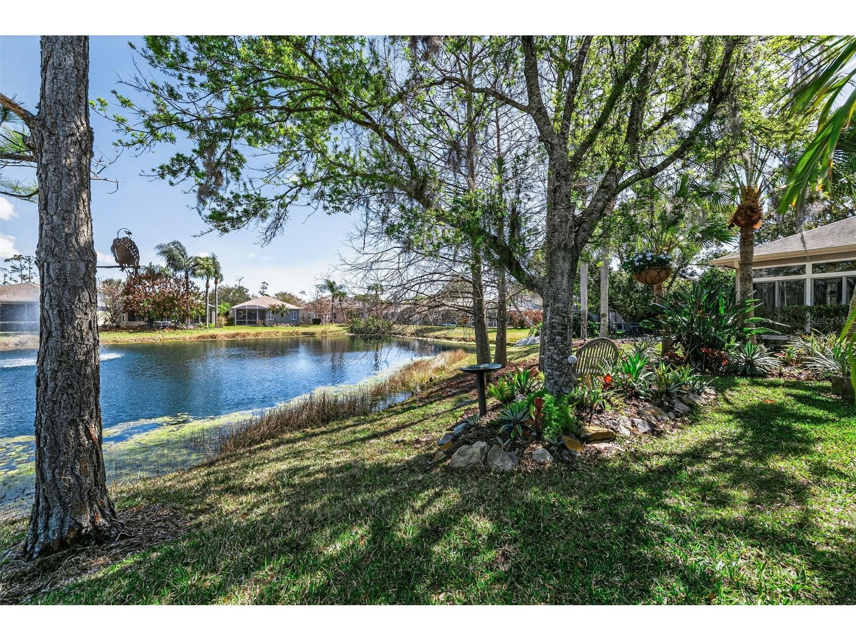 1527 Woodstream Drive Oldsmar FL 34677 TB8476648 image43