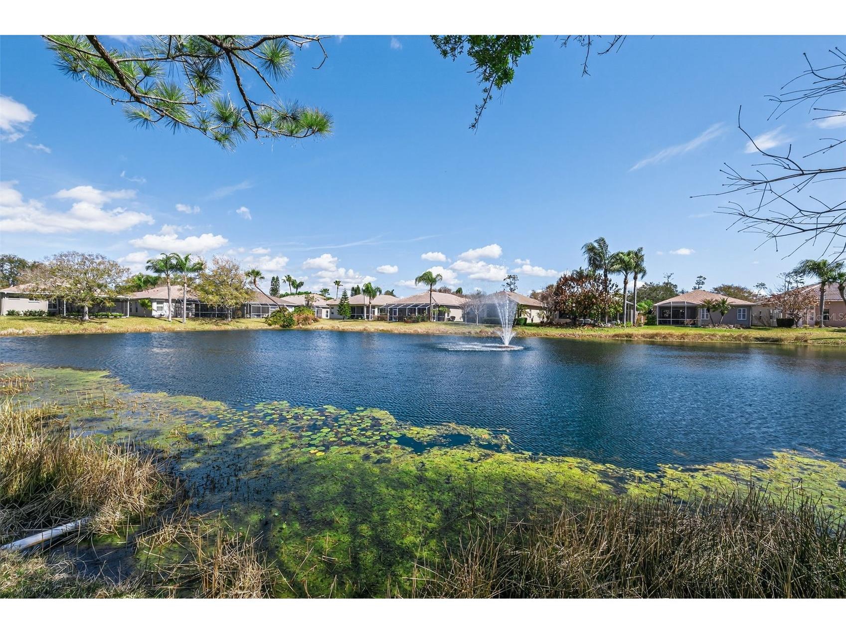 1527 Woodstream Drive Oldsmar FL 34677 TB8476648 image47
