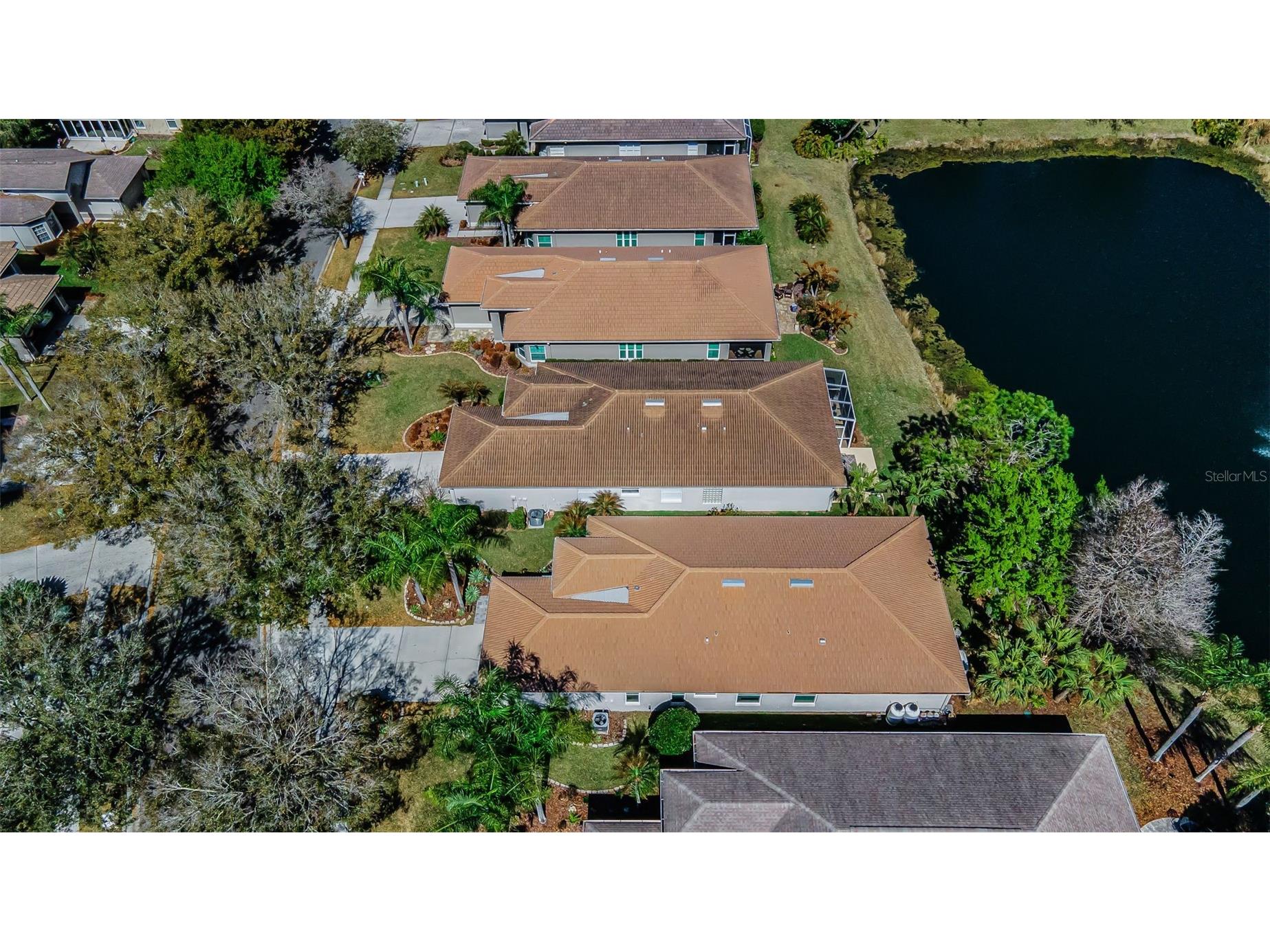 1527 Woodstream Drive Oldsmar FL 34677 TB8476648 image50