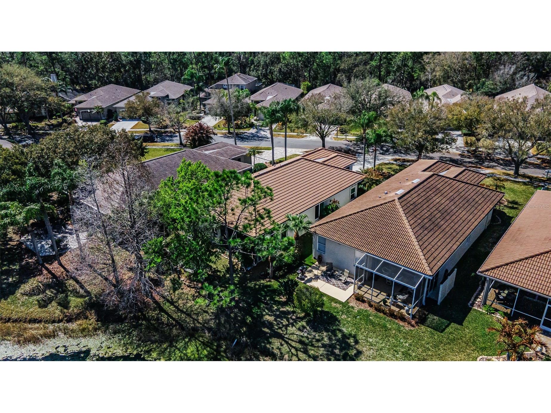 1527 Woodstream Drive Oldsmar FL 34677 TB8476648 image51