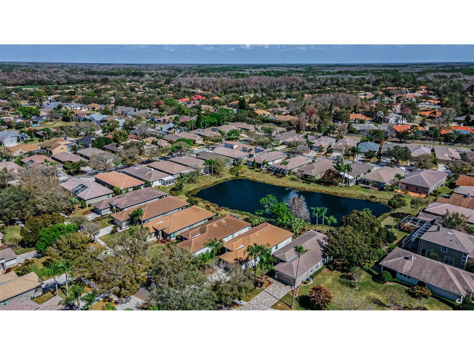 1527 Woodstream Drive Oldsmar FL 34677 TB8476648 image52