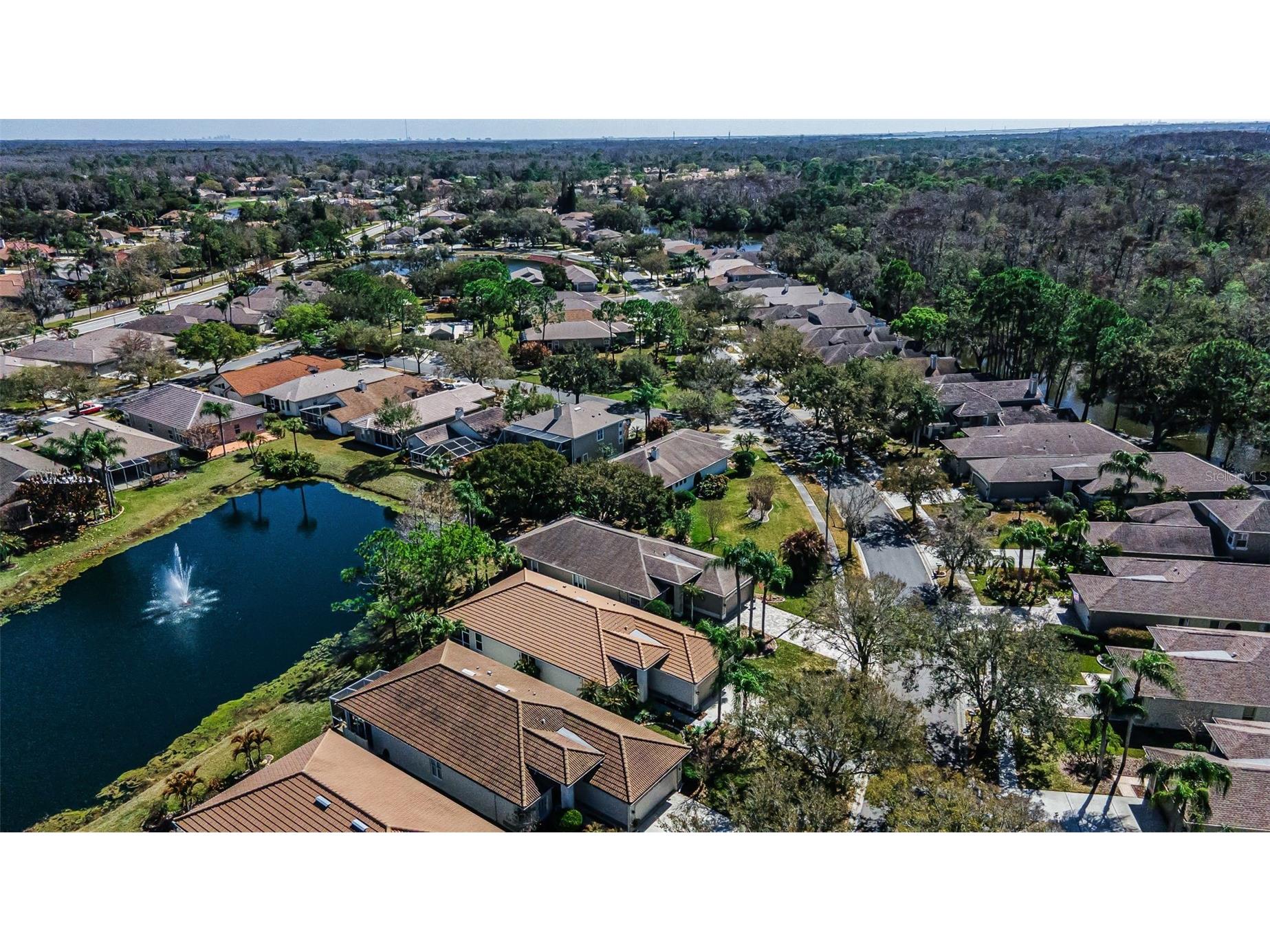 1527 Woodstream Drive Oldsmar FL 34677 TB8476648 image53