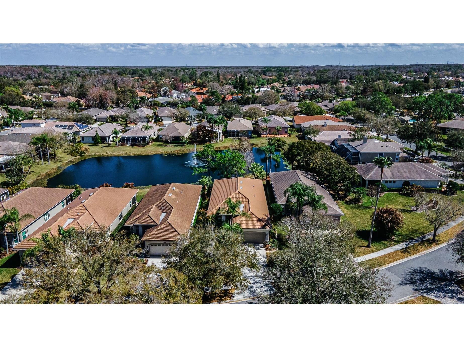 1527 Woodstream Drive Oldsmar FL 34677 TB8476648 image54